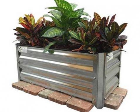 Verdant Garden Beds